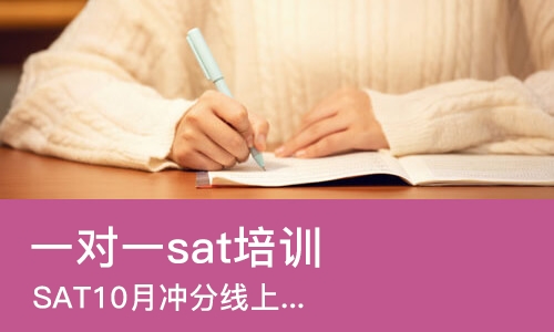上海一对一sat培训