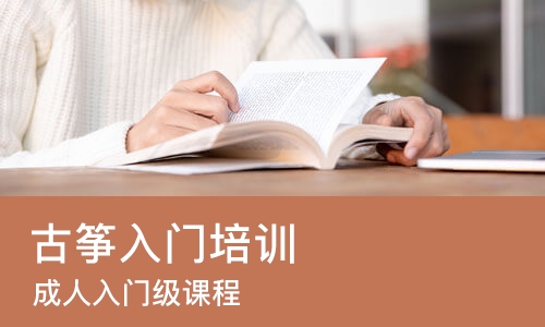 郑州古筝入门培训