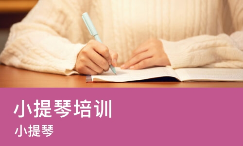 南京小提琴培训