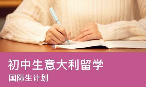 武汉初中生意大利留学