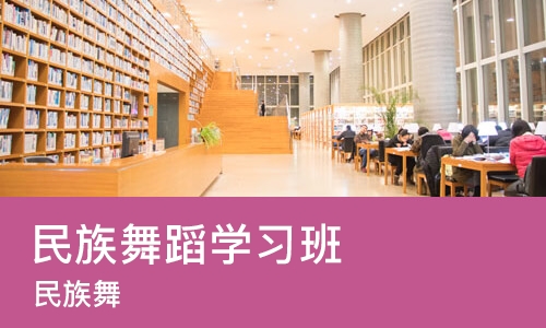 沈阳民族舞蹈学习班
