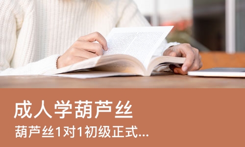 成都成人学葫芦丝