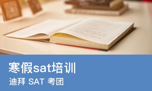 上海寒假sat培训