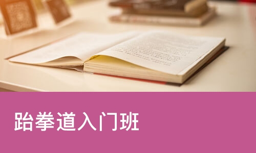 宁波跆拳道入门班