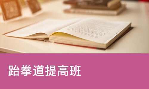 宁波跆拳道提高班