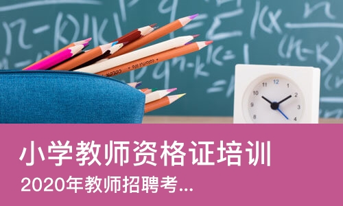 烟台小学教师资格证培训