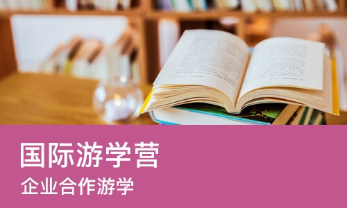 北京国际游学营