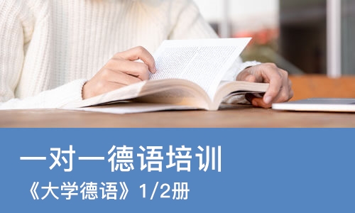 西安一对一德语培训班