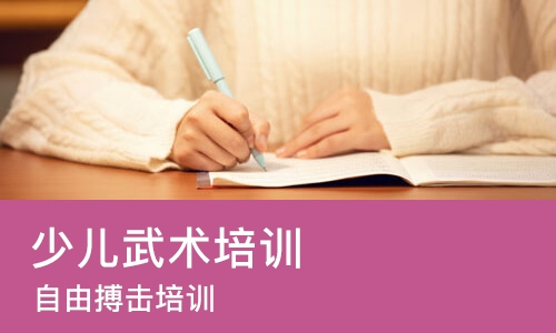 东莞少儿武术培训机构