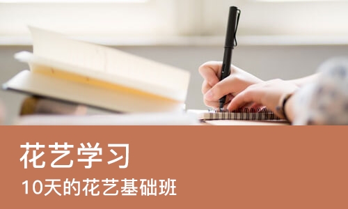 苏州花艺学习