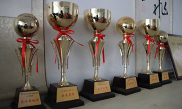 郑州冯特职业培训学校