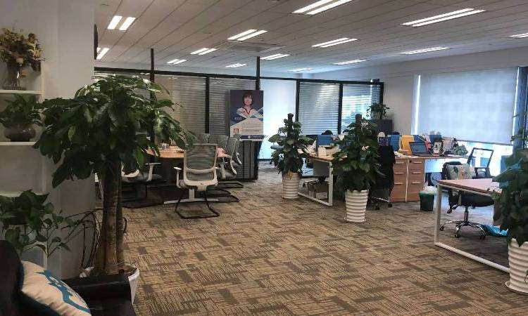 杭州千百渡留学工作室