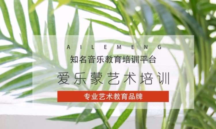 爱乐蒙艺术培训