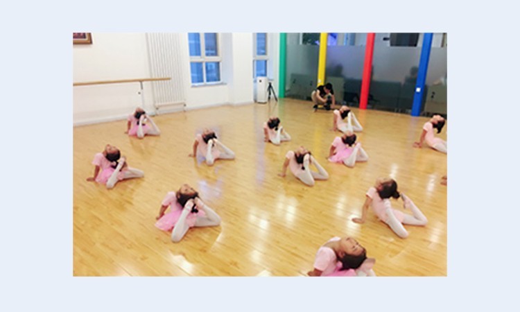 石家庄北京红舞鞋