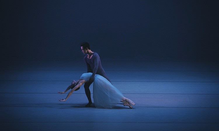 河南省星之海艺术培训中心