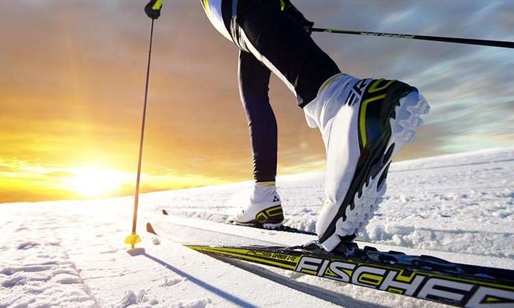 北京健力佳体育培训