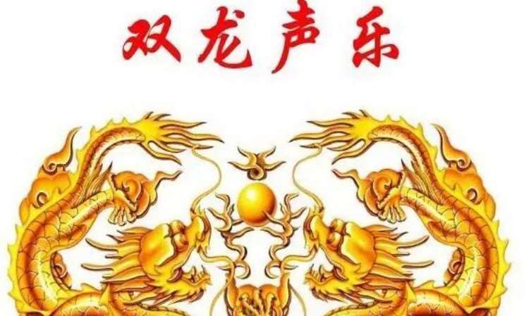 河南省双龙声乐艺术中心