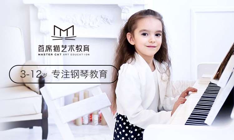 首席猫艺术教育