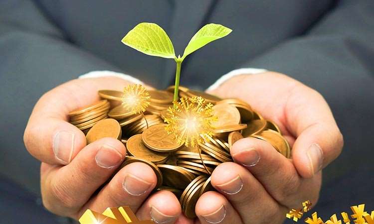 山东技能桥职业培训