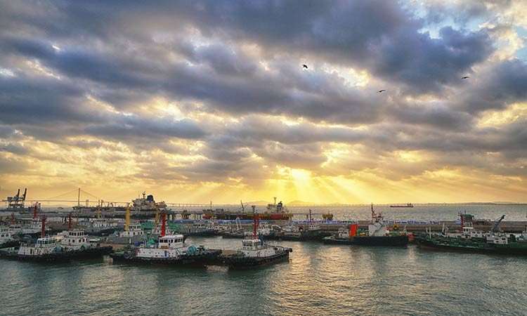 武汉立思辰留学360