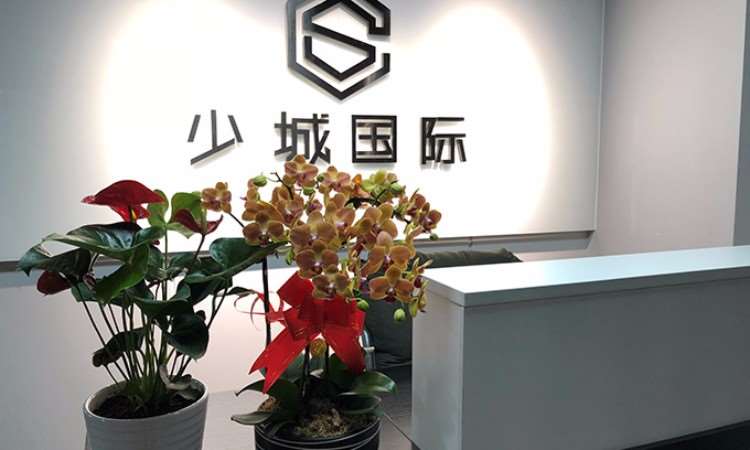 成都少城国际教育