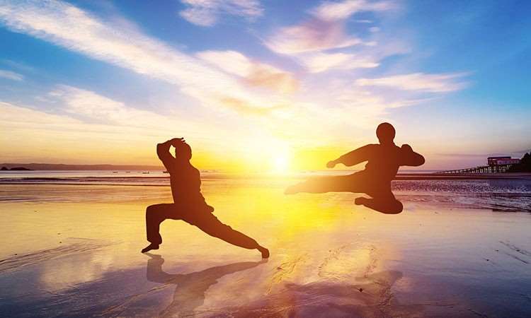 烟台极限国际武道教育