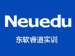 成都东软睿道实训