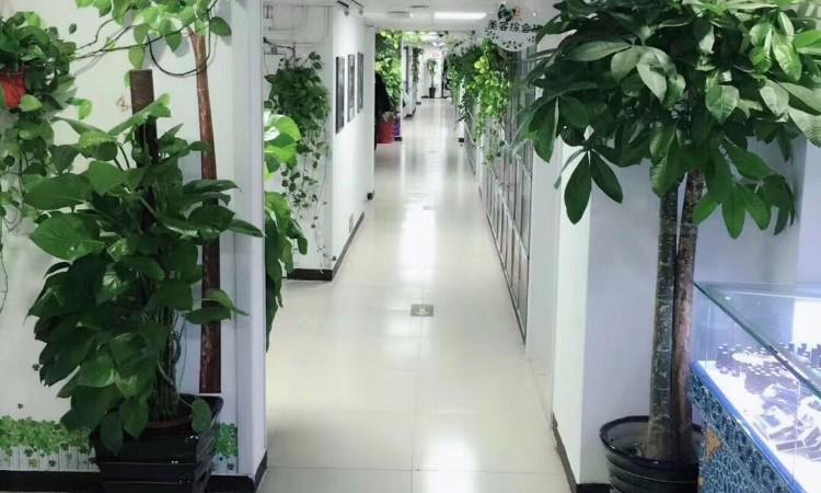 北京东青美容美发培训学校