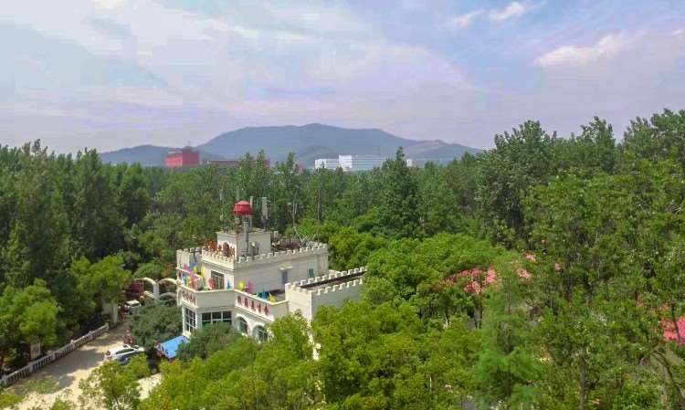 湖北正念阳光领袖夏令营