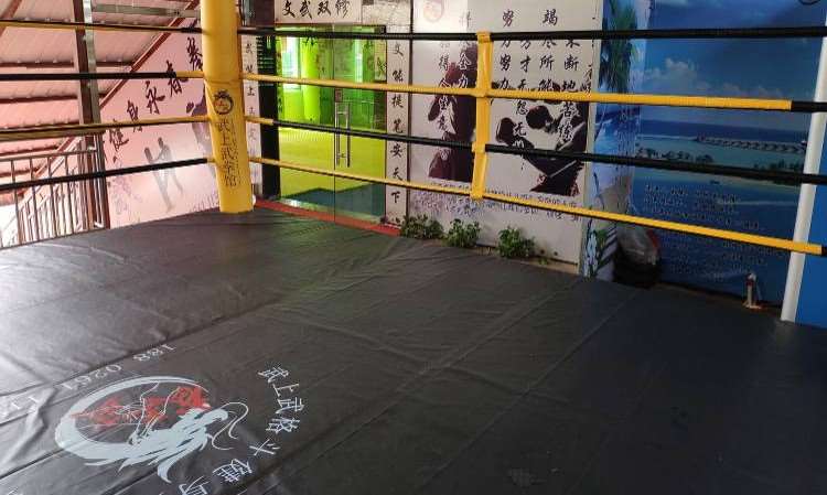 东莞武上武拳馆