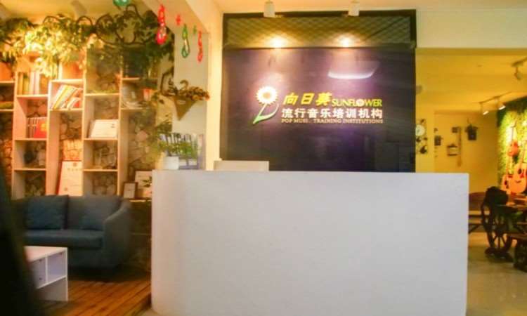 重庆向日葵流行音乐