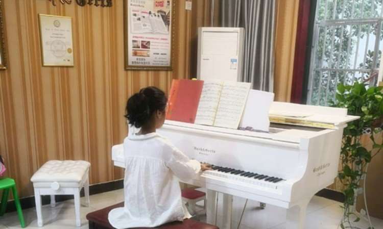 合肥市艺博乐器培训
