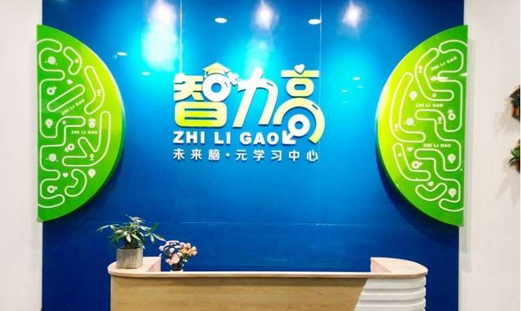 厦门嘉奇智力高感统训练