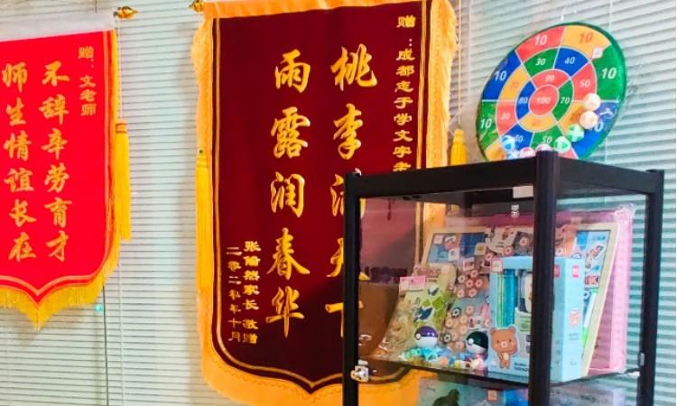 成都志于学感统教育科技有限公司