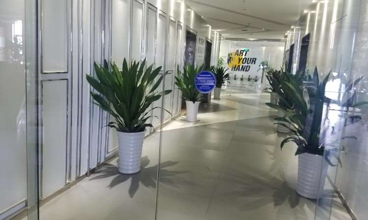 厦门莱学习SAP实战培训