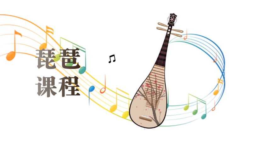 成都成人琵琶学习