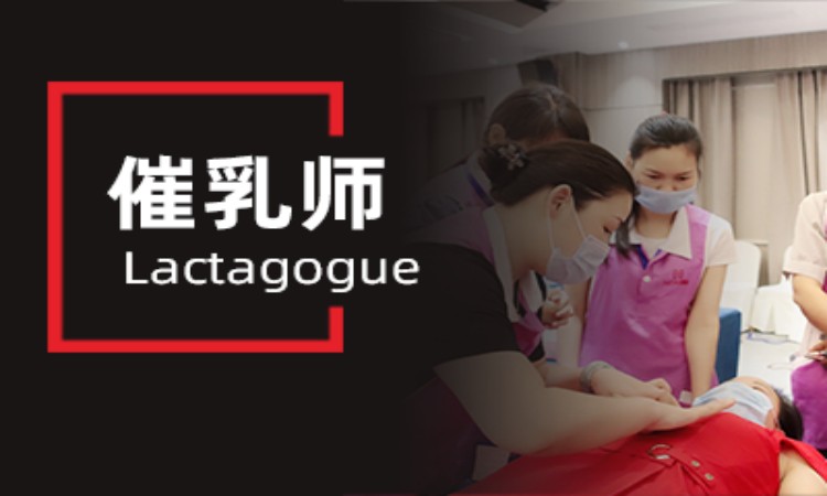 武汉国家专业催乳师培训