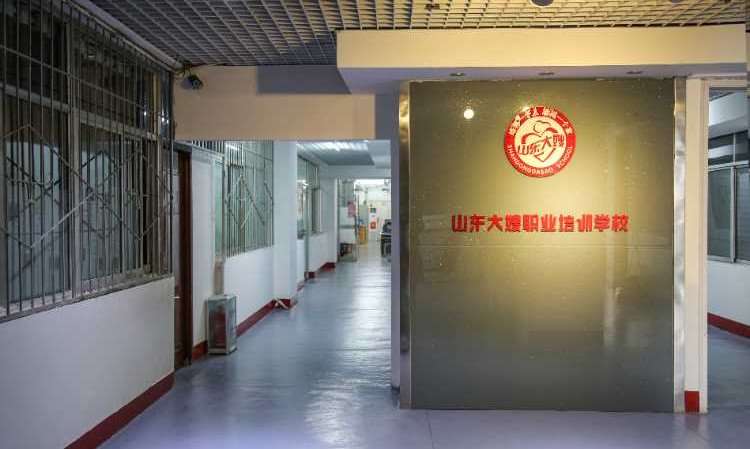 山东大嫂中加学院