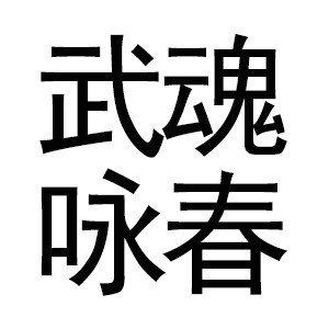 南昌西湖区武魂咏春拳馆