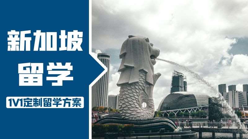 成都新加坡高一留学