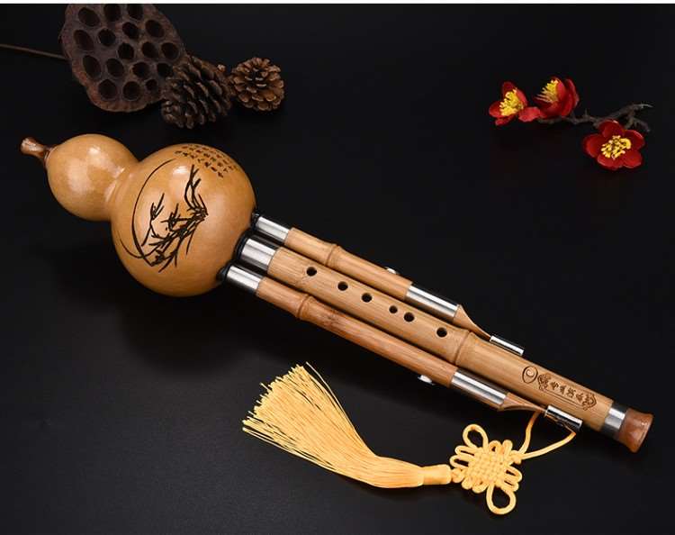 重庆葫芦丝的学习