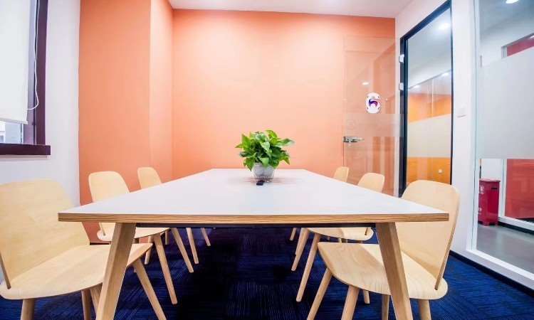 沈阳蒲公英国际