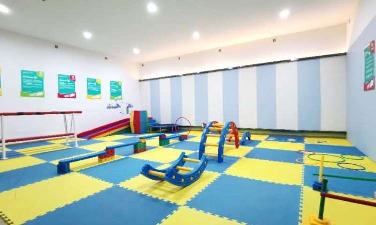 青岛能量小象感统