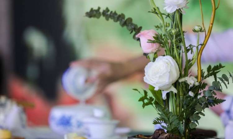 宁波叶子职业培训