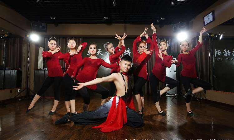 石家庄鼎天舞蹈