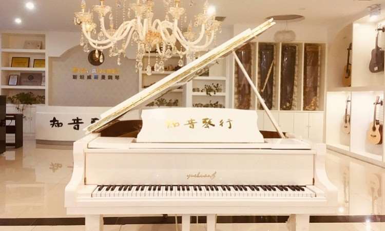 合肥市知音琴行