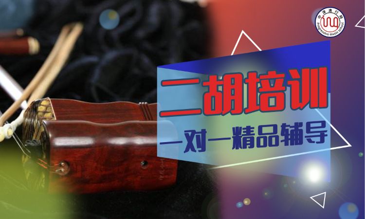 天津二胡成人班