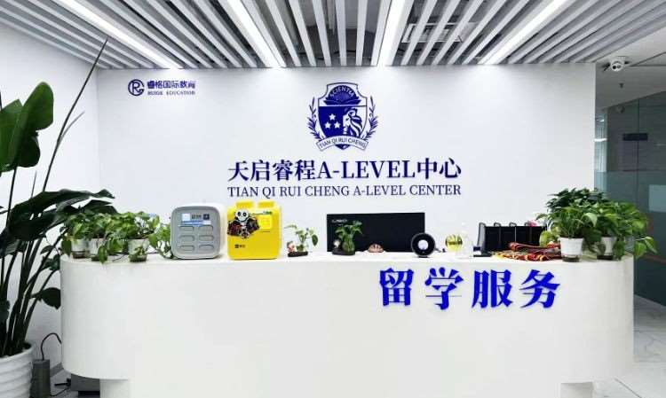 上海睿格国际教育