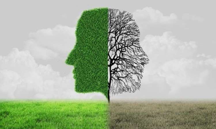 北京德瑞姆心理培训