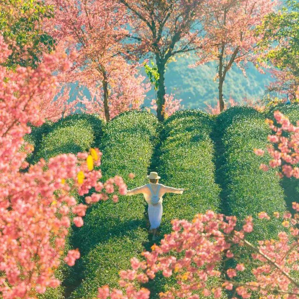 *同学